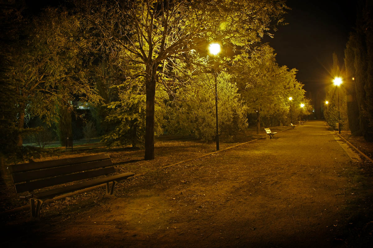 Фон улицы в парке ночью